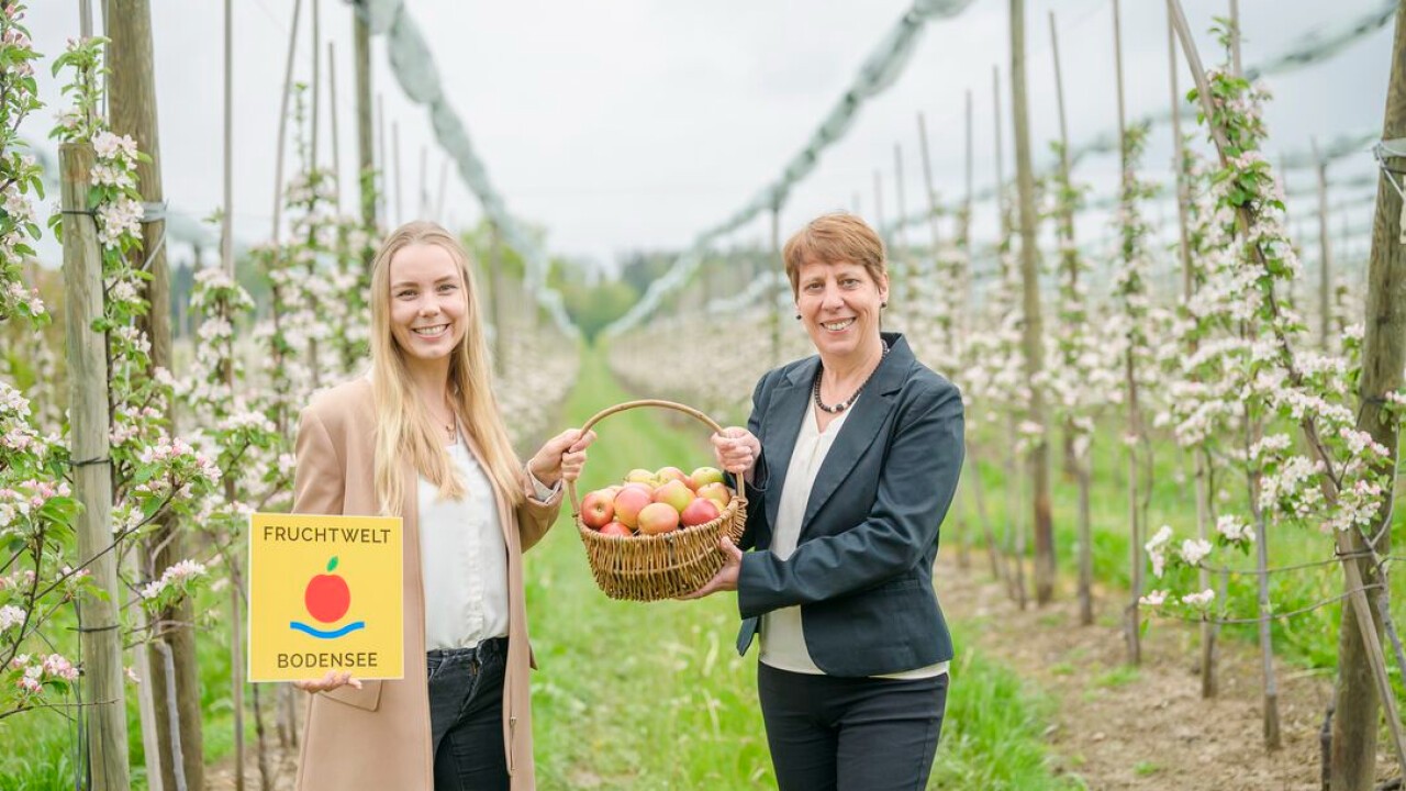 Petra Rathgeber übergibt die Projektleitung an Sharon Kommer