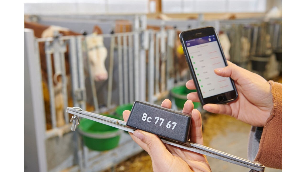 Calf Monitoring System