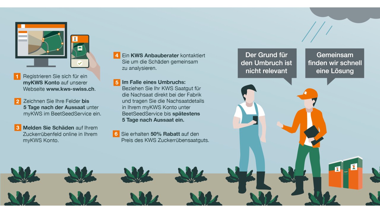 BeetSeedService - Vorgehen