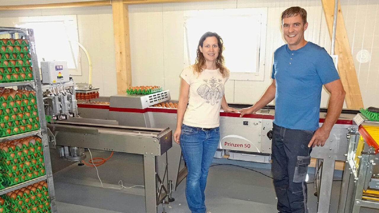 Yvonne und Stefan Huber im Packraum, wo sie die Eierkartons in den Eierwagen stapeln (Bild: Schweizer Bauer)