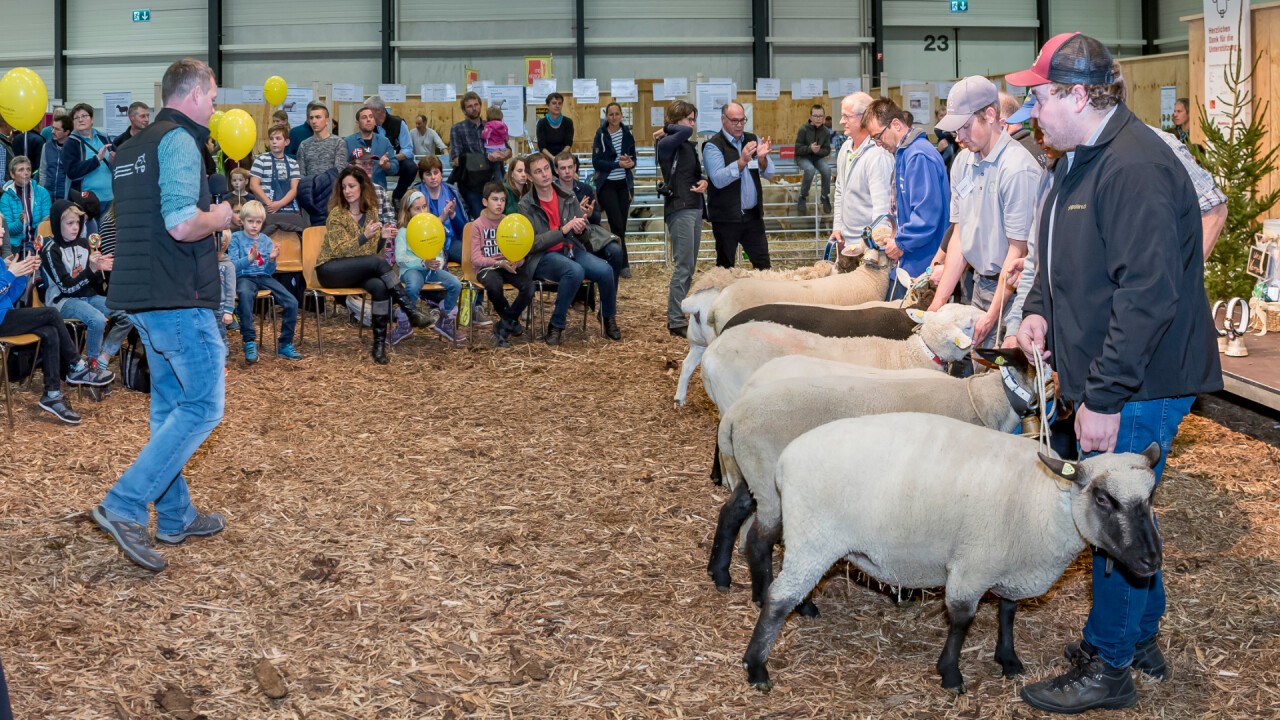 Die meisten Züchterinnen und Züchter präsentieren ihre Tiere gleich selbst. 