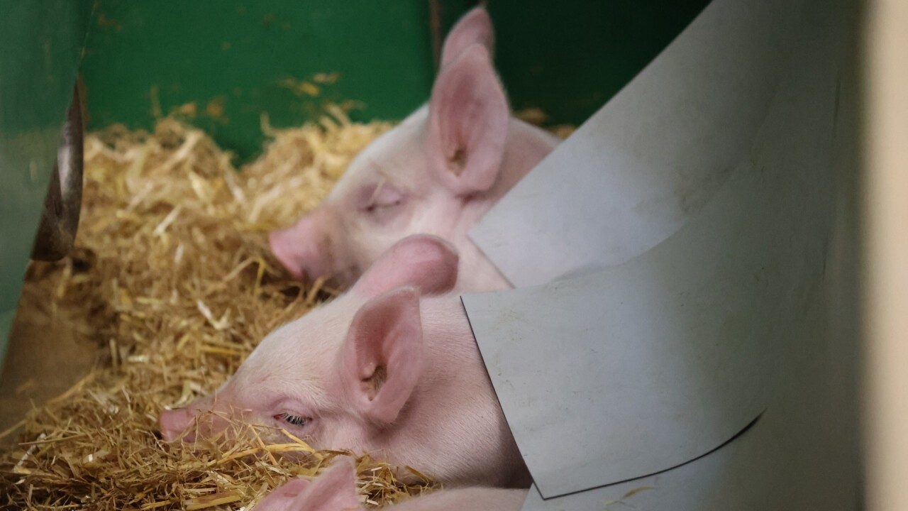 Tierwohl steht an oberster Stelle