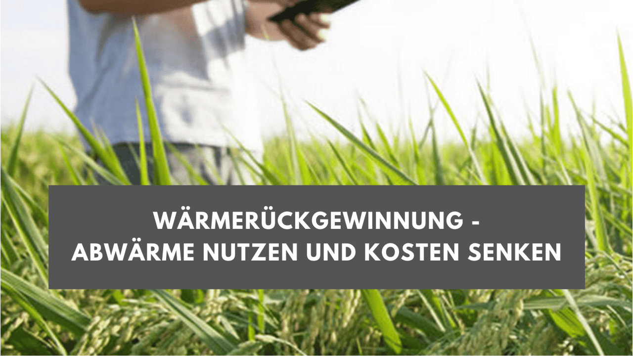 Wärmerückgewinnung: Abwärme nutzen & Kosten senken