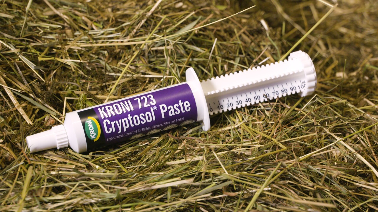 Einzeln oder im 10-er Karton erhältlich
