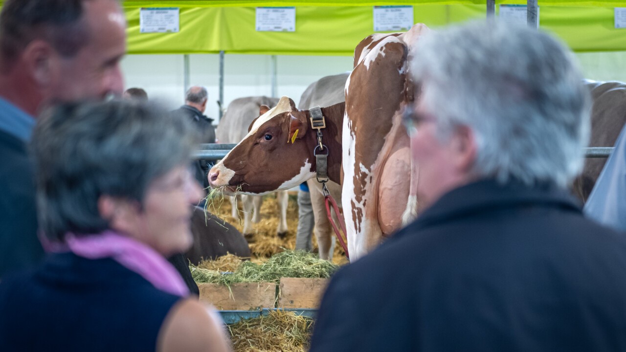 Impressionen der Tier&Technik 2023 (©Reto Martin)