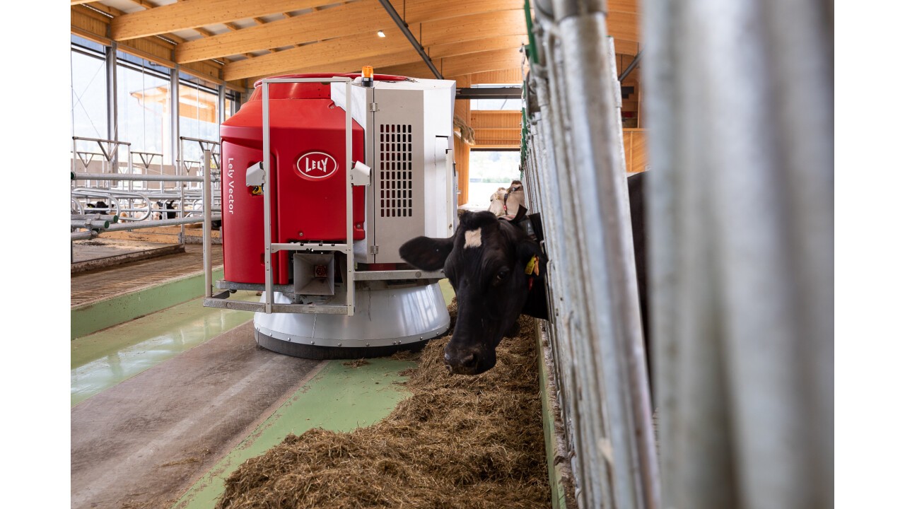 Mit dem Lely Vector kann das Futter zugeschoben und verteilt werden.