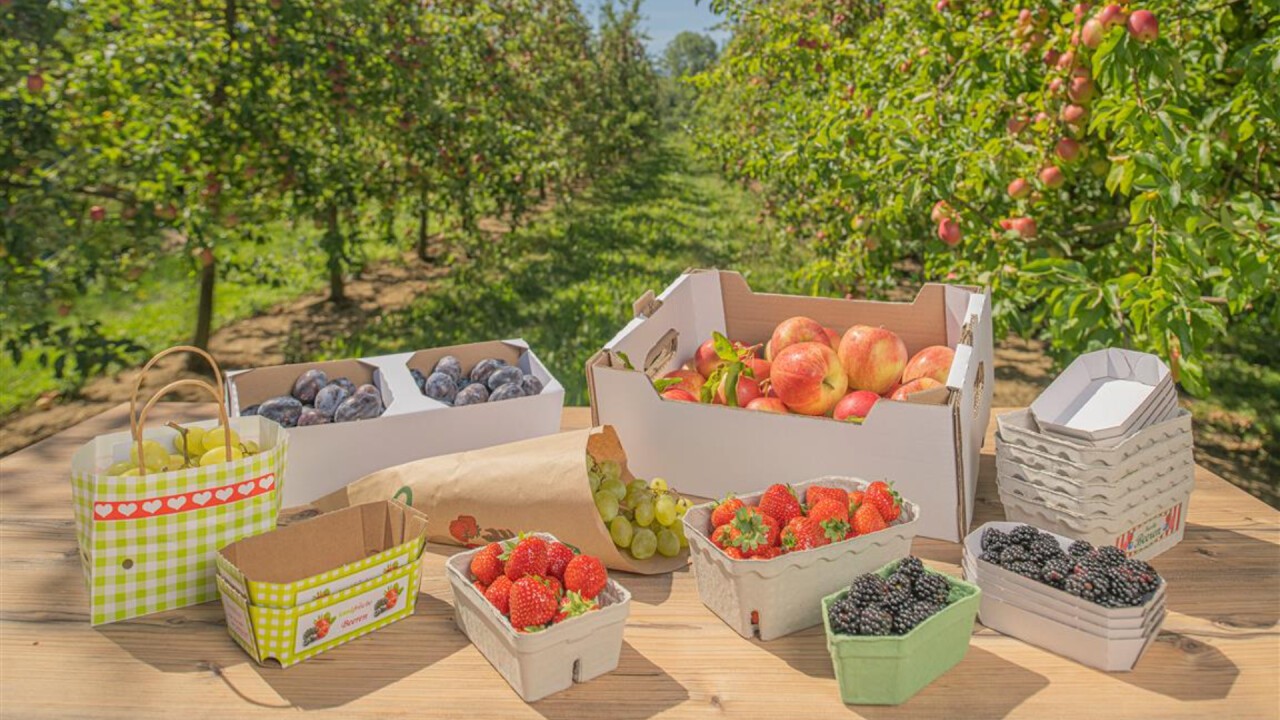 Plastikfreie Verpackungen der FPS Flexpack für Obst und Gemüse