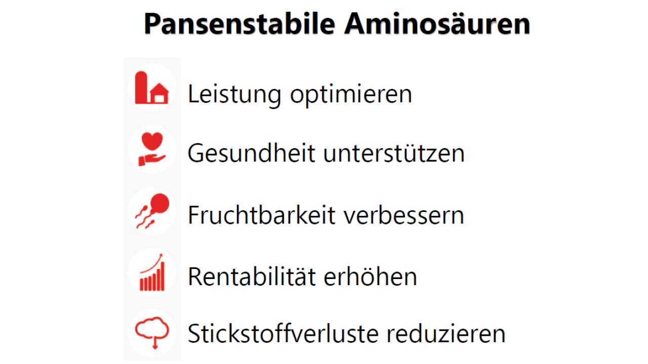 Nutzen durch den Einsatz von pansenstabilen Aminosäuren