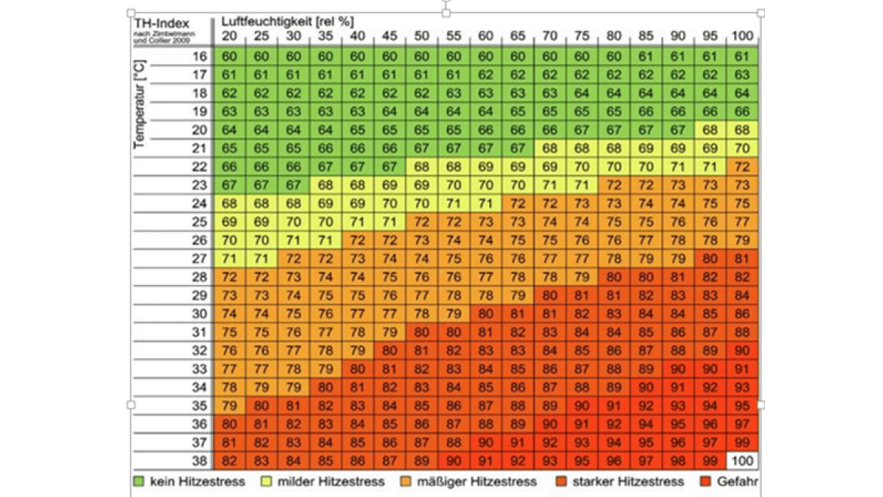 Der Hitzestress beginnt bei Milchkühen ab einem TH-Index von 68.