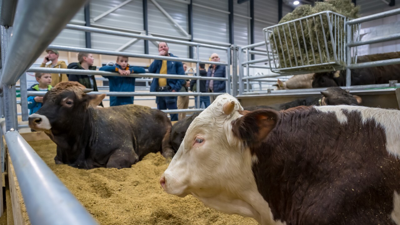 Tier Ausstellungen sorgten für grosses Interesse. (Bilder: Chrisoph Arnet)