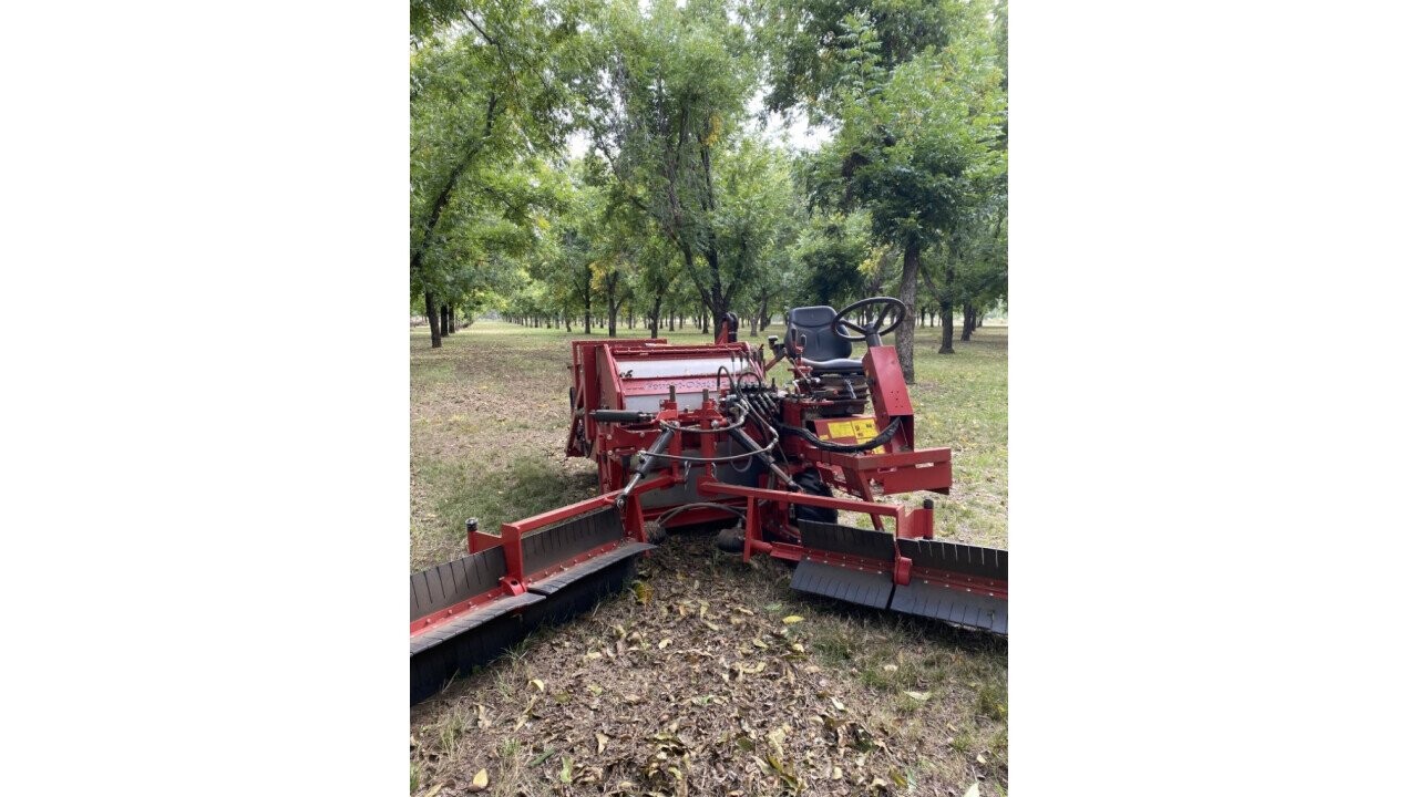 Walnut picker