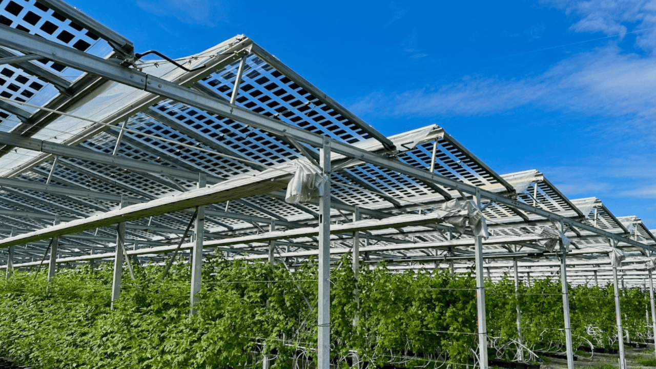 Agri-PV, Conthey, Schweiz