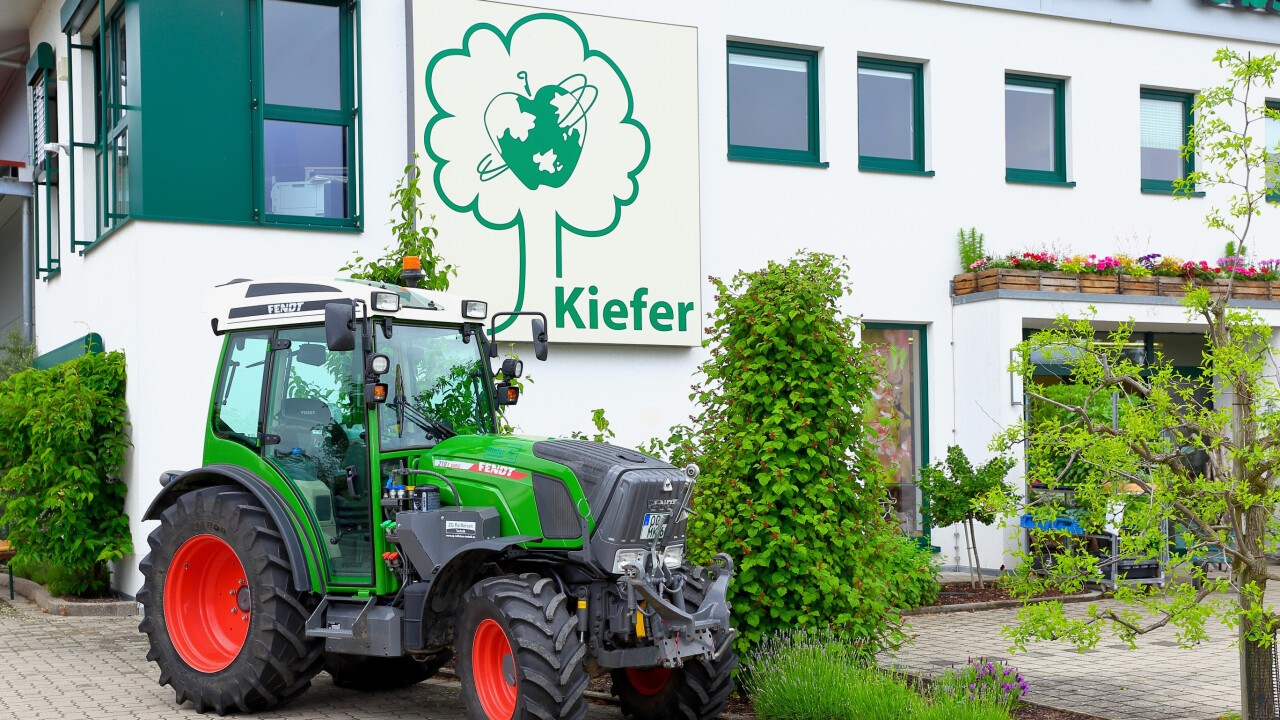 Kiefer Obstwelt Ortenberg