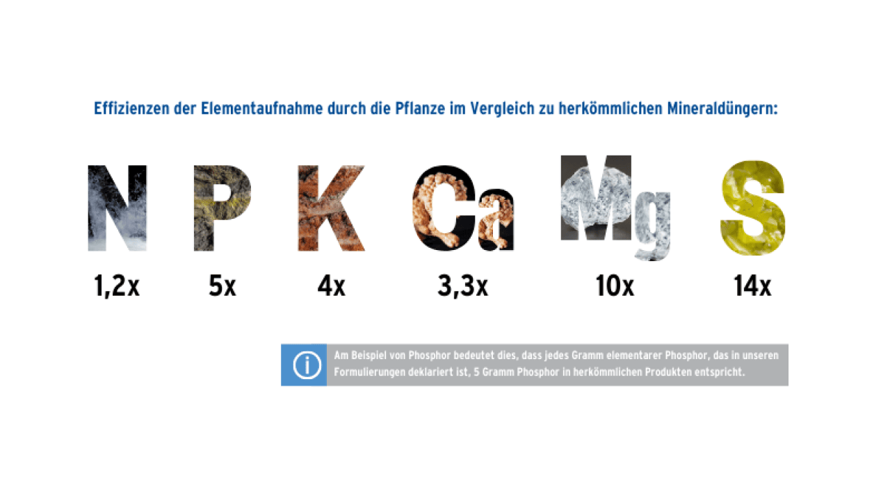 Nutrient efficiencies  Nubiotek® products Bioteksa