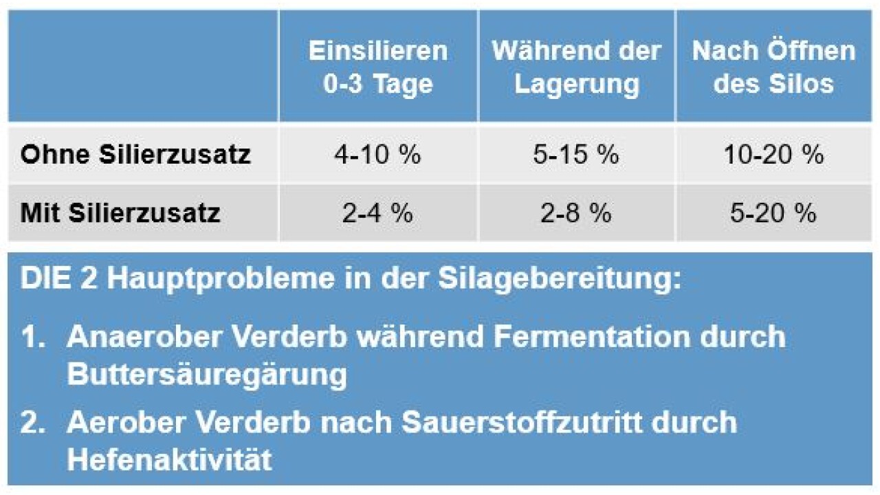 Richtwerte bezüglich Verluste mit und ohne Siliermittel