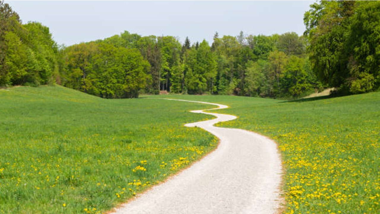 Ein Weg mit vielen Herausforderungen