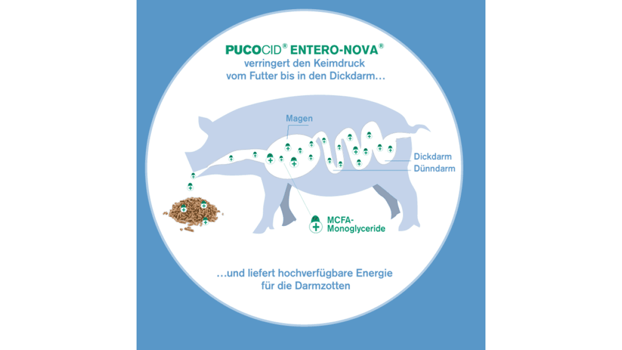 Wirkungsspektrum von ENTERO-NOVA