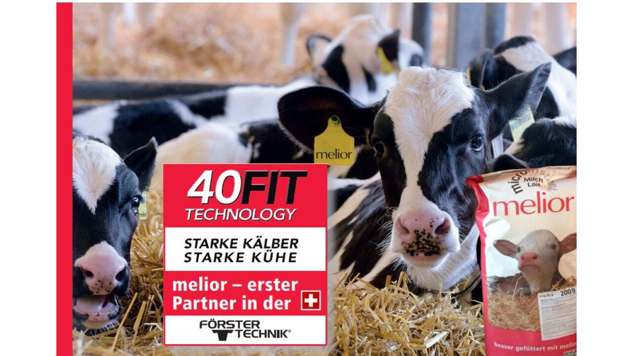 Starke Kälber - Starke Kühe mit der 40fit Technologie von melior und FörsterTechnik