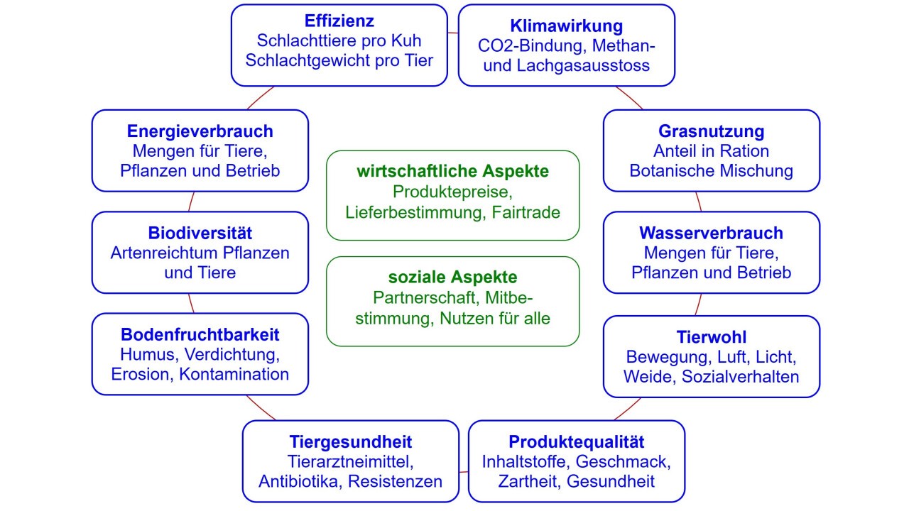 Nachhaltigkeitssäulen der Mutterkuhhaltung