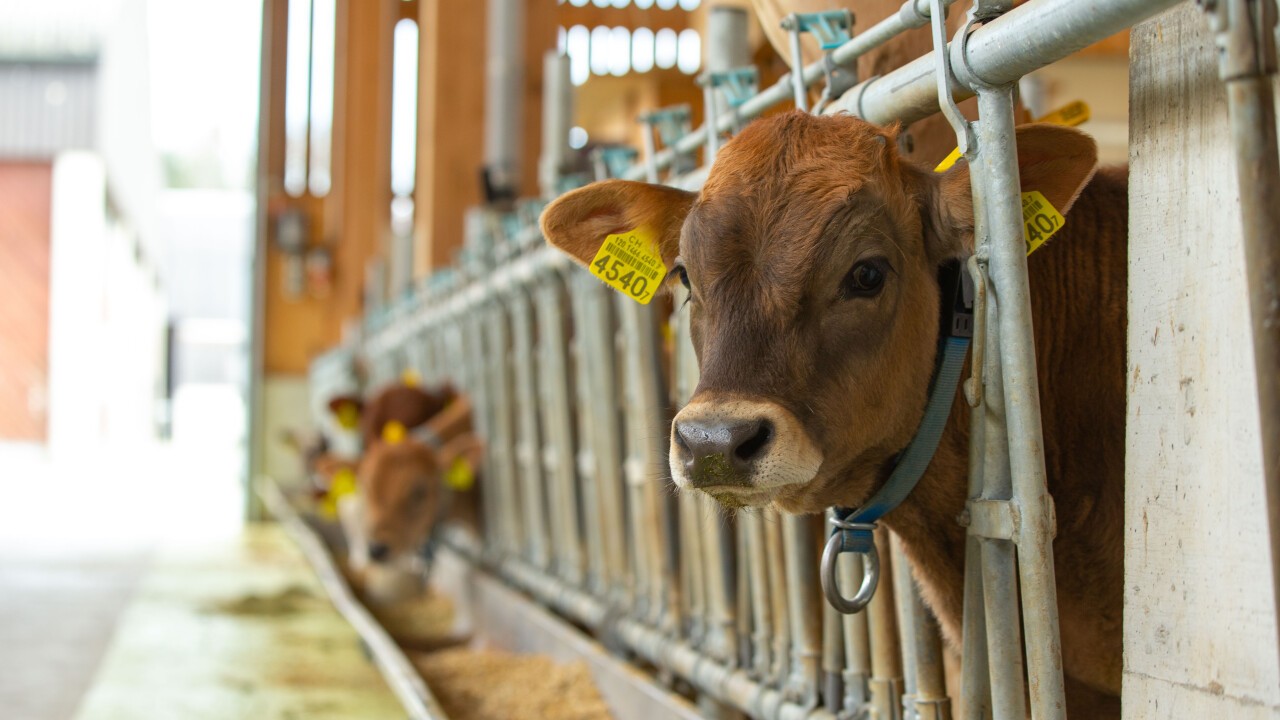 Landwirtschaftliche Baumassnahmen sind meist Generationenprojekte 