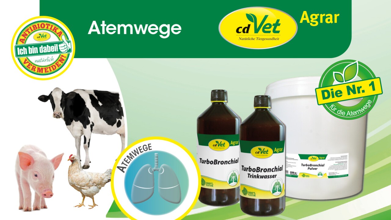 Gerade zur Jahreszeit cdVet Naturprodukte GmbH