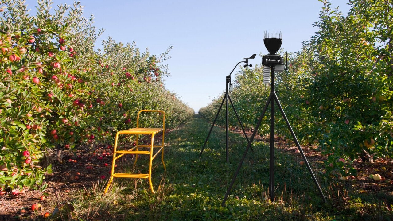 Sencrops digital rain gauge Raincrop and digital wind gauge Windcrop