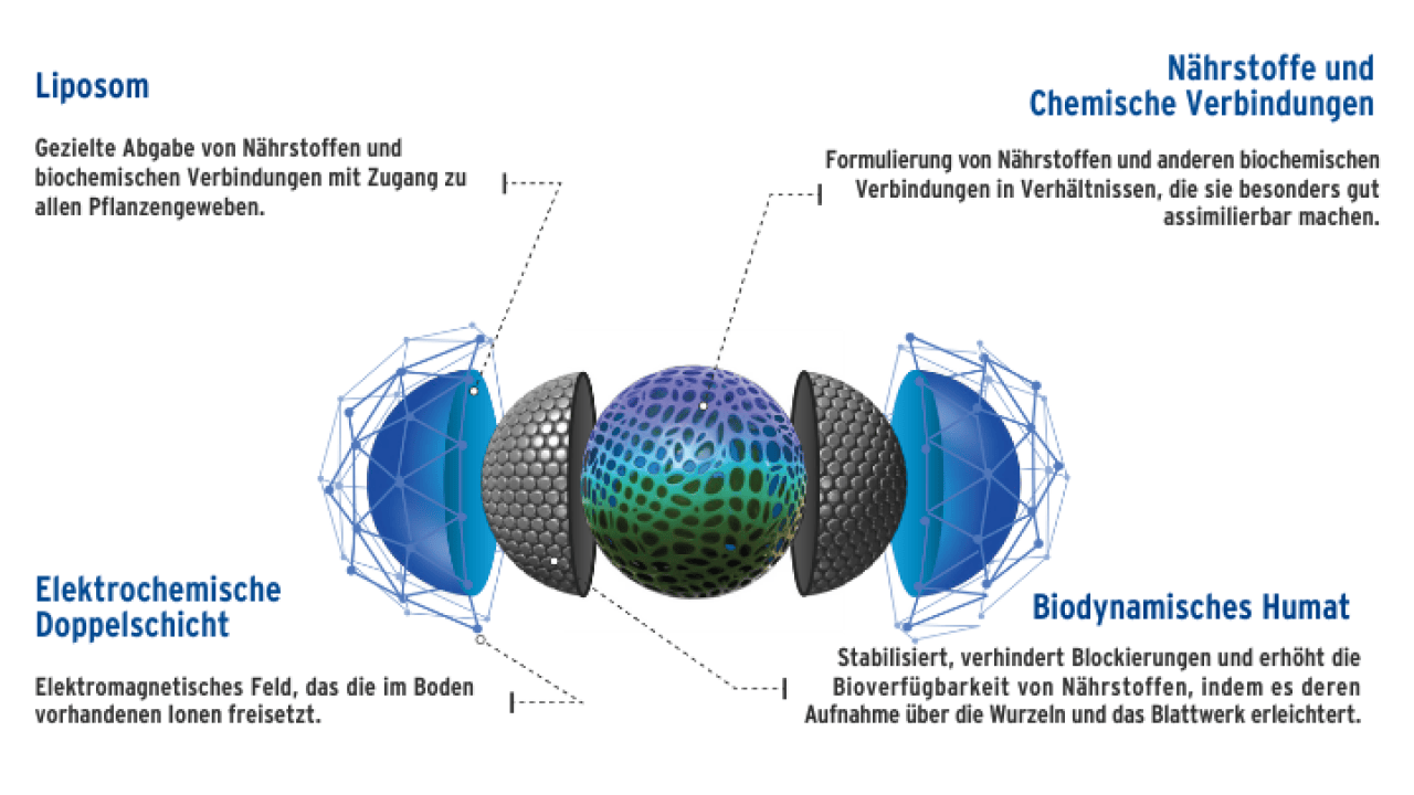 kolloidaler Nanoporter® Bioteksa