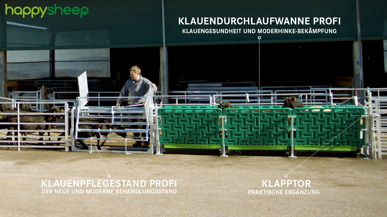 HappySheep® Klauendurchlaufwanne mit Klapptor und Klauenpflegestand