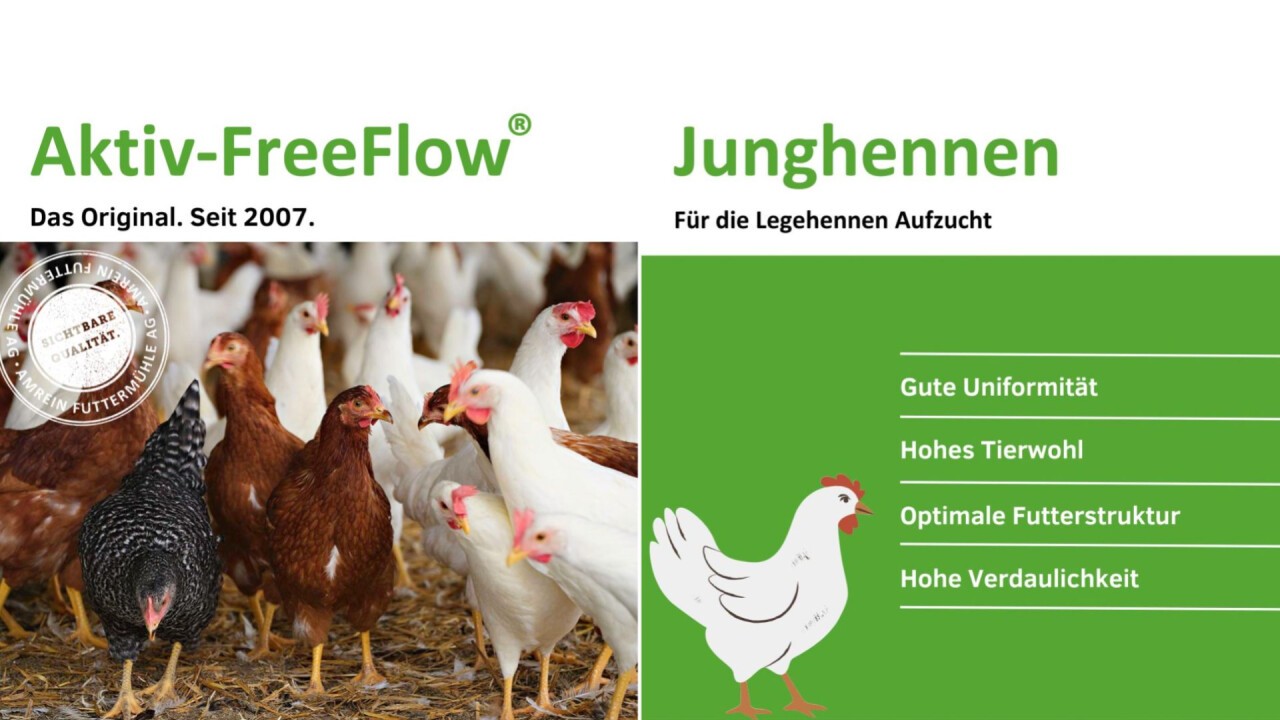 Junghennen-Aufzucht mit Aktiv-FreeFlow®