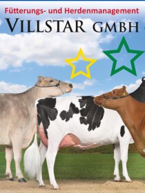 Villstar GmbH