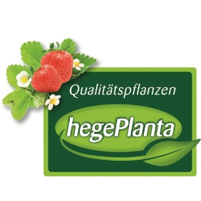 Logo HegePflanzen GmbH + Co. KG hegePlanta