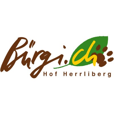 Logo Bürgi.ch AG