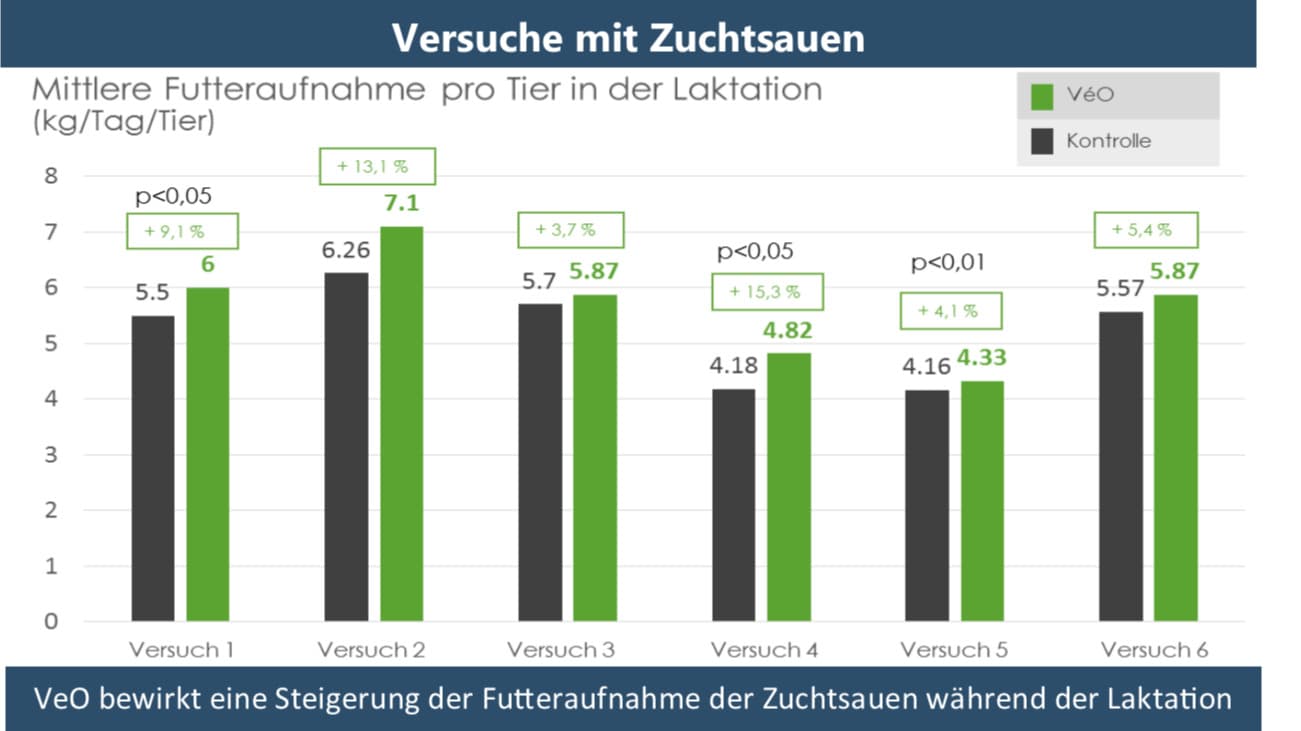 Versuchsresultate VeO: Futteraufnahme während der Laktation