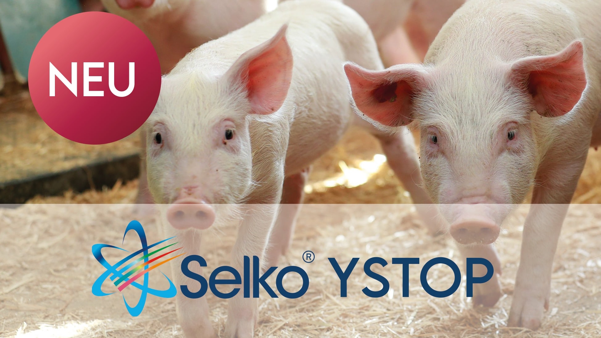 Selko YSTOP - der neue Standard