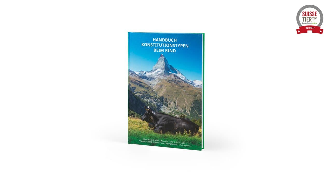 Neues Handbuch Konstitutionstypen beim Rind