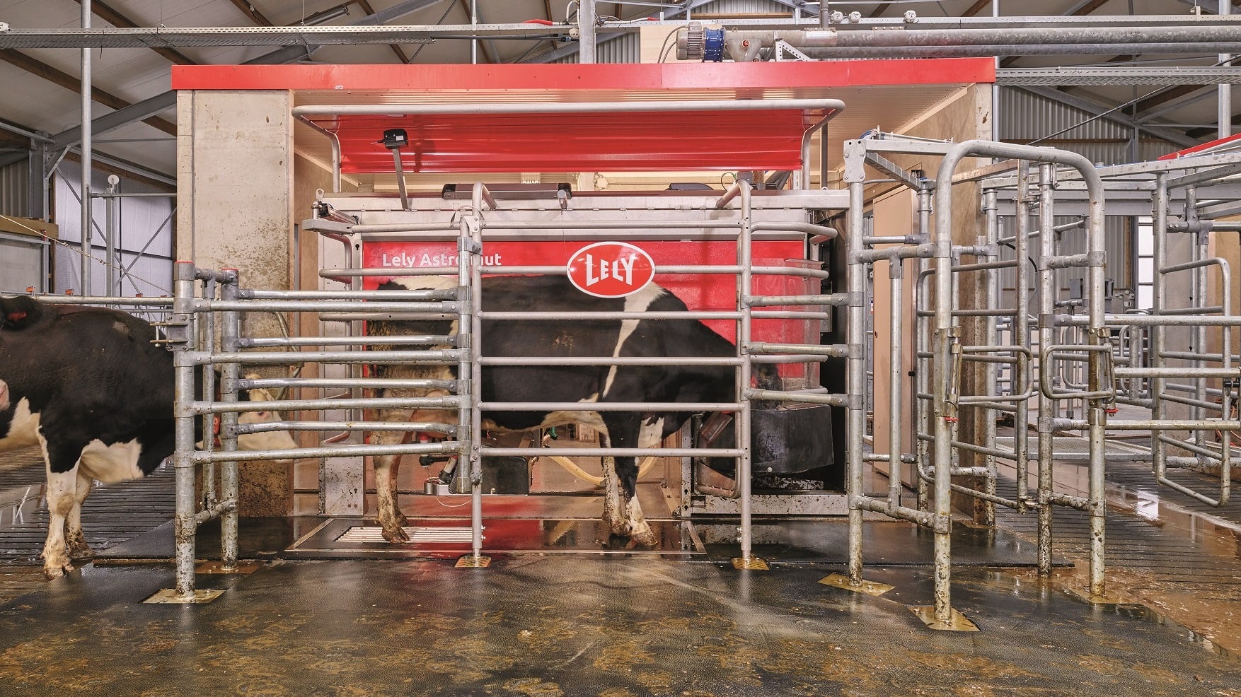 Lely Astronaut A5