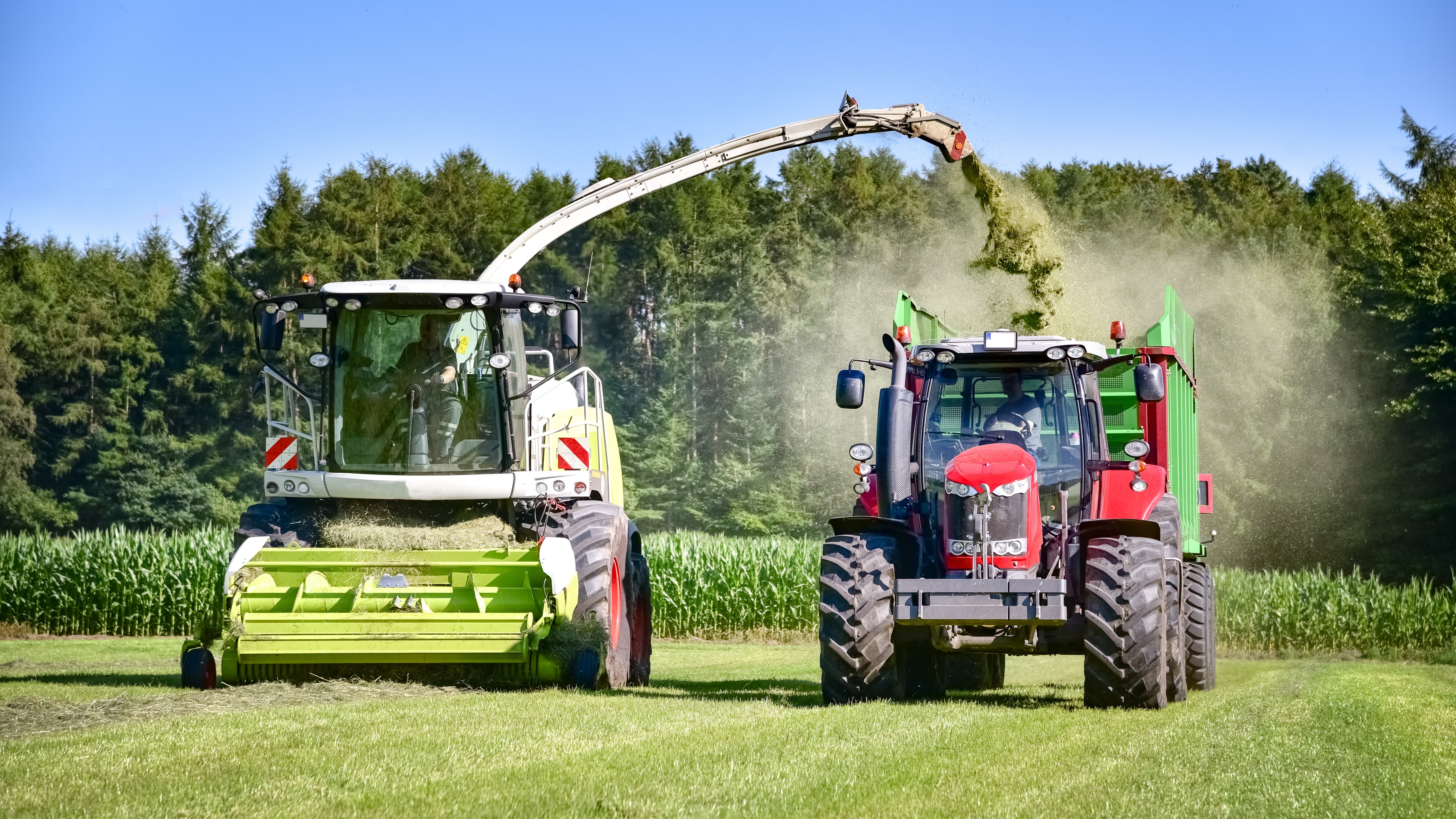 BONSILAGE FIT G - stabilisiert hochwertige Grassilage