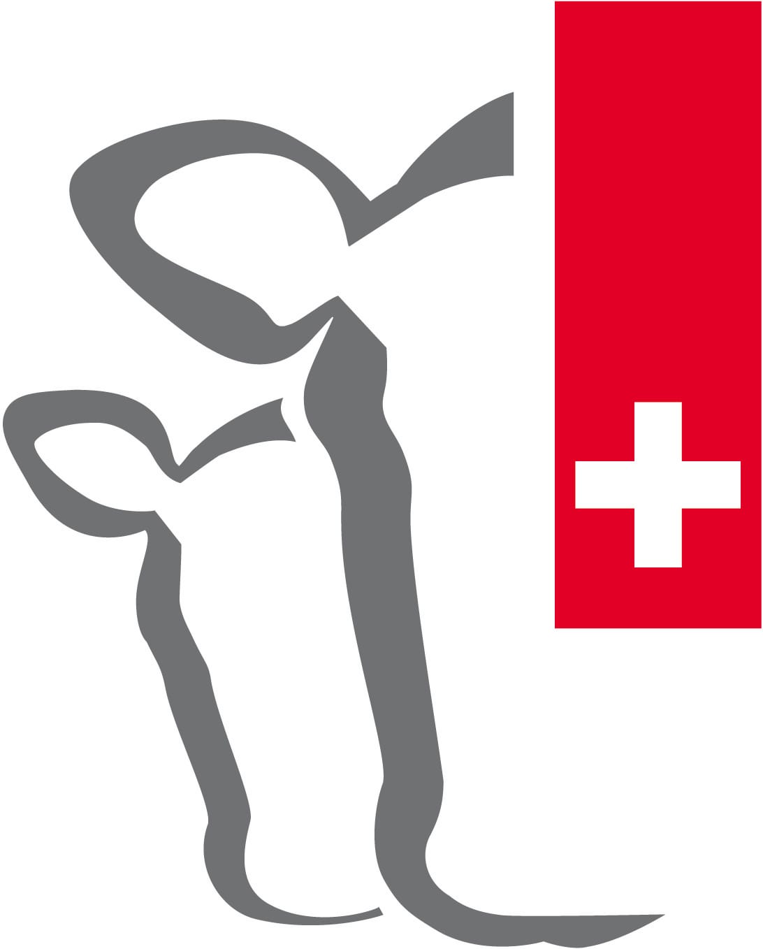 Mutterkuh Schweiz