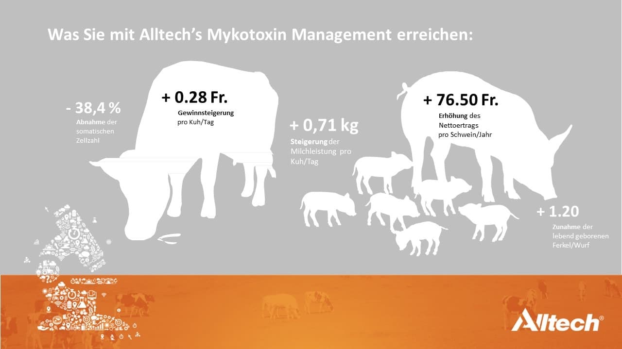 Mykotoxin-Management