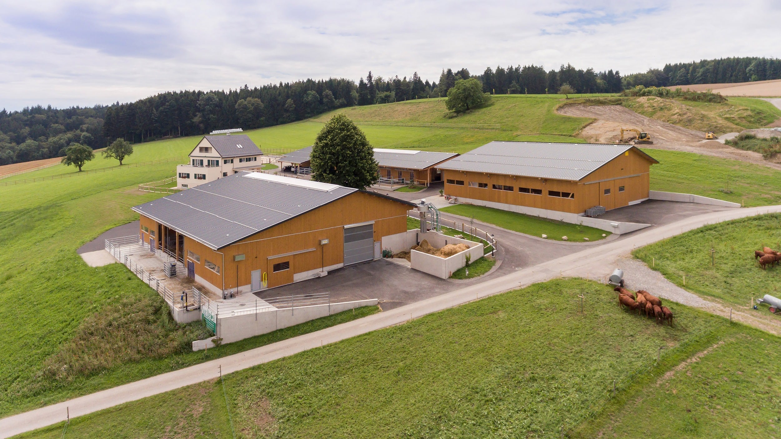 Siedlung mit Laufstall, Pferdestall und Remise in Beinwil AG
