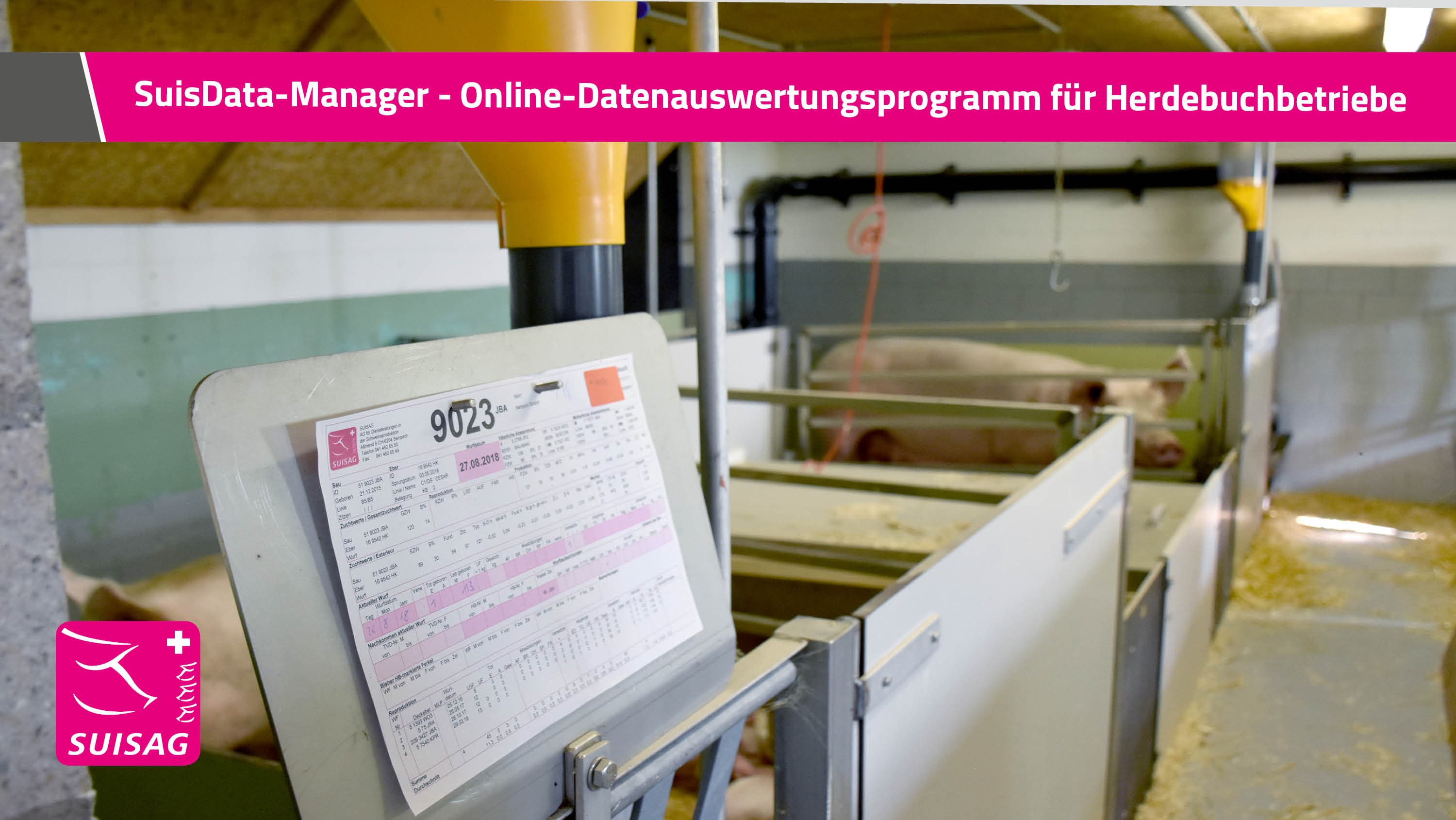 SuisData-Manager