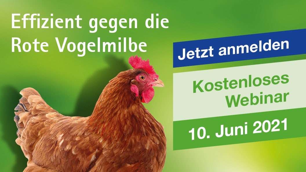 Online-Seminar: Effizient gegen Vogelmilben