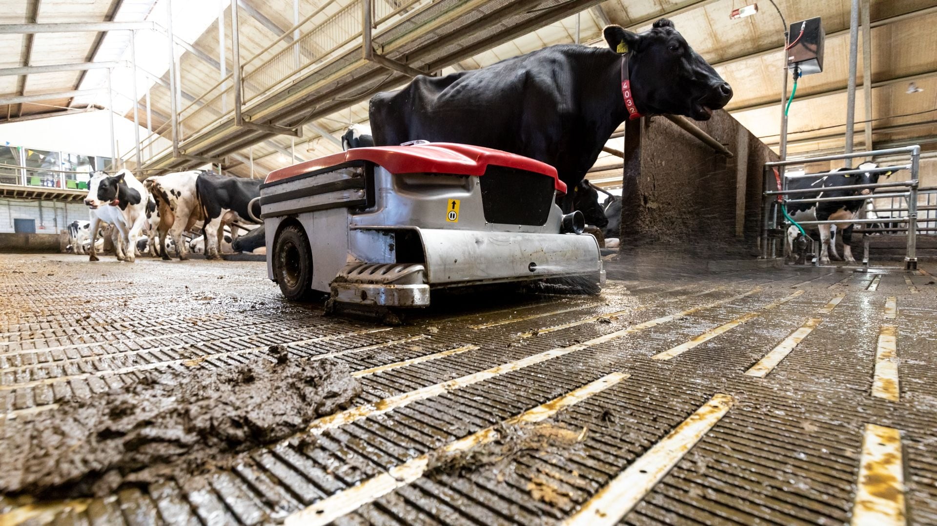 Lely Sphere in Kombination mit dem Lely Discovery Collector 120