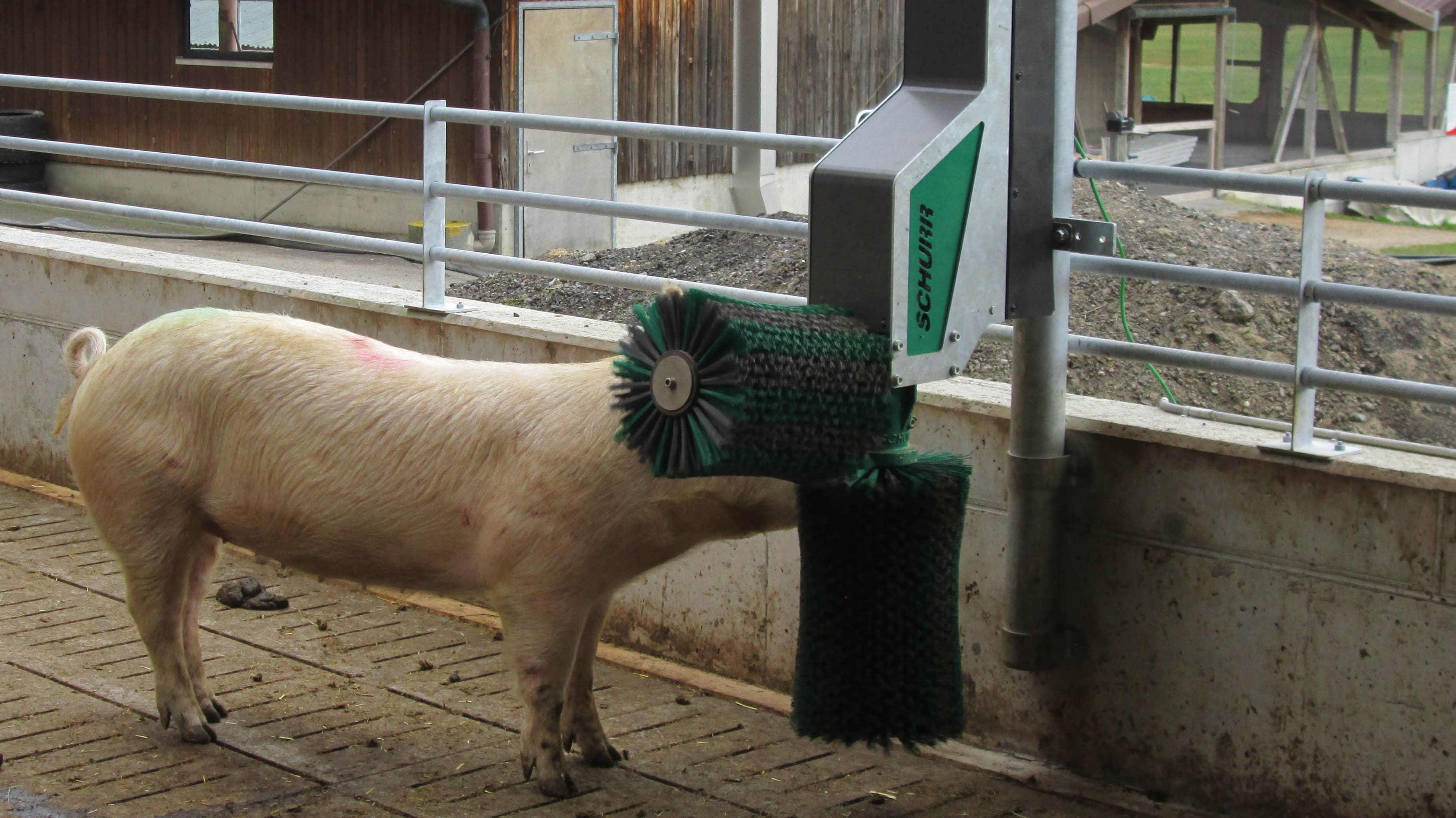 Das Schurr 2-Bürstensystem steigert das Wohlbefinden der Tiere