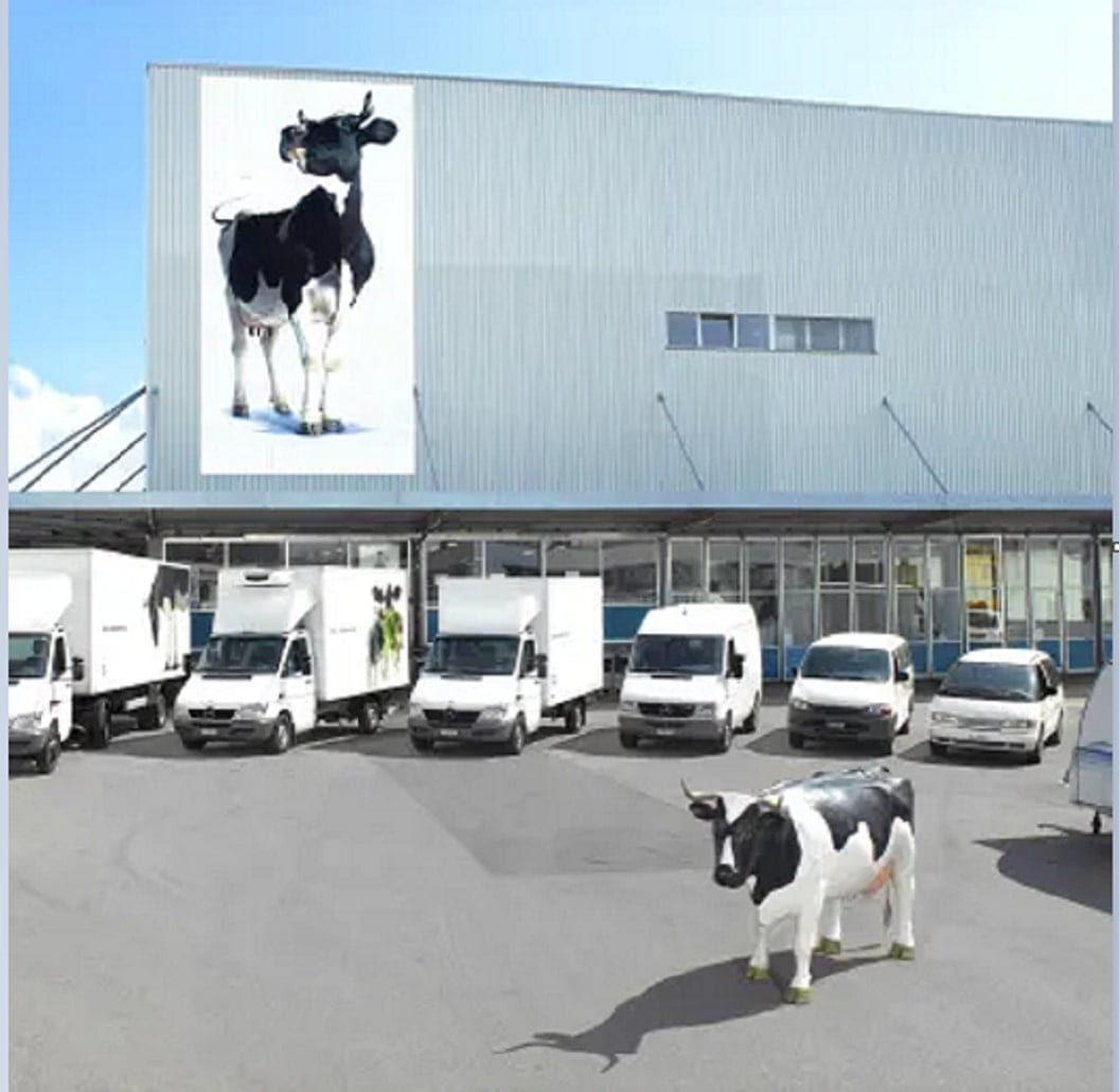 Die SMP steht zusammen mit ihren Mitgliedsorganisationen im Dienst aller Schweizer Milchproduzenten.
