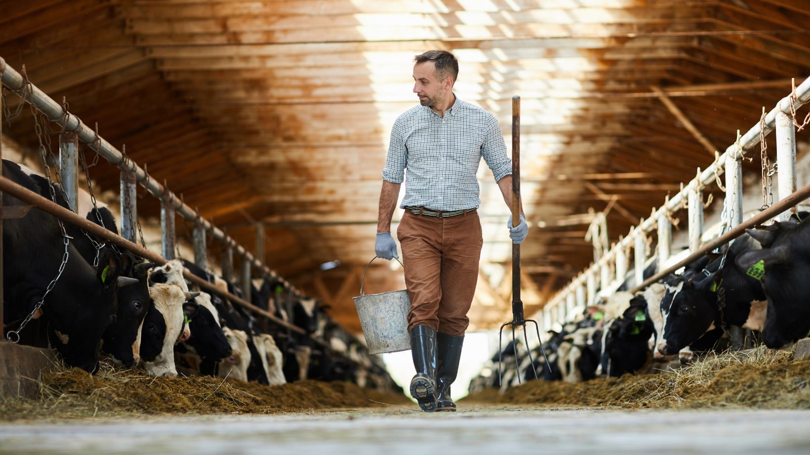 Gutes Stallklima mit Einstreue Plus - kann bei allen Tierarten eingesetzt werden