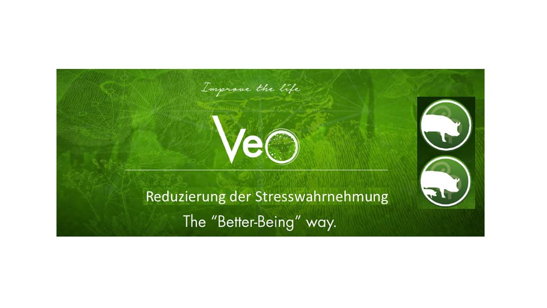 Veo: Stress reduzieren - Futteraufnahme steigern