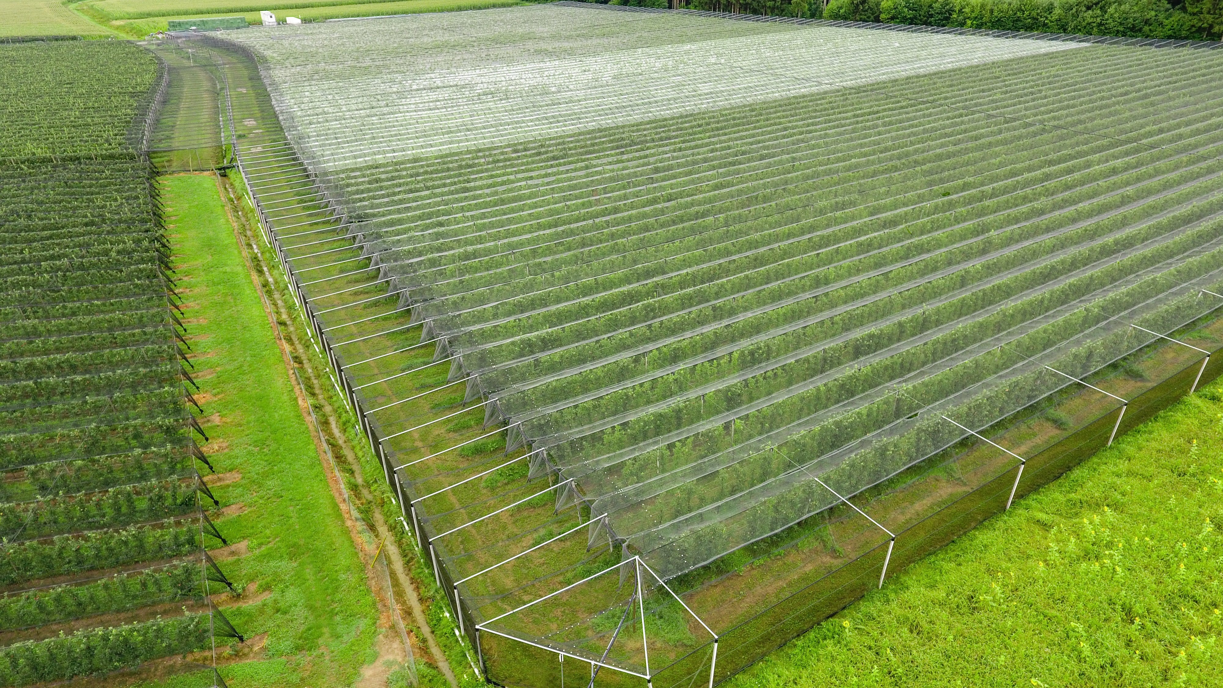 Totaleinnetzung Käfig Volleinnetzung - Fruit Security GmbH