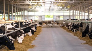 Stall climate / emissions