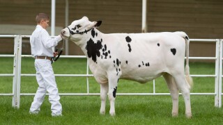 Services für Animal Husbandry, Animal Husbandry Program